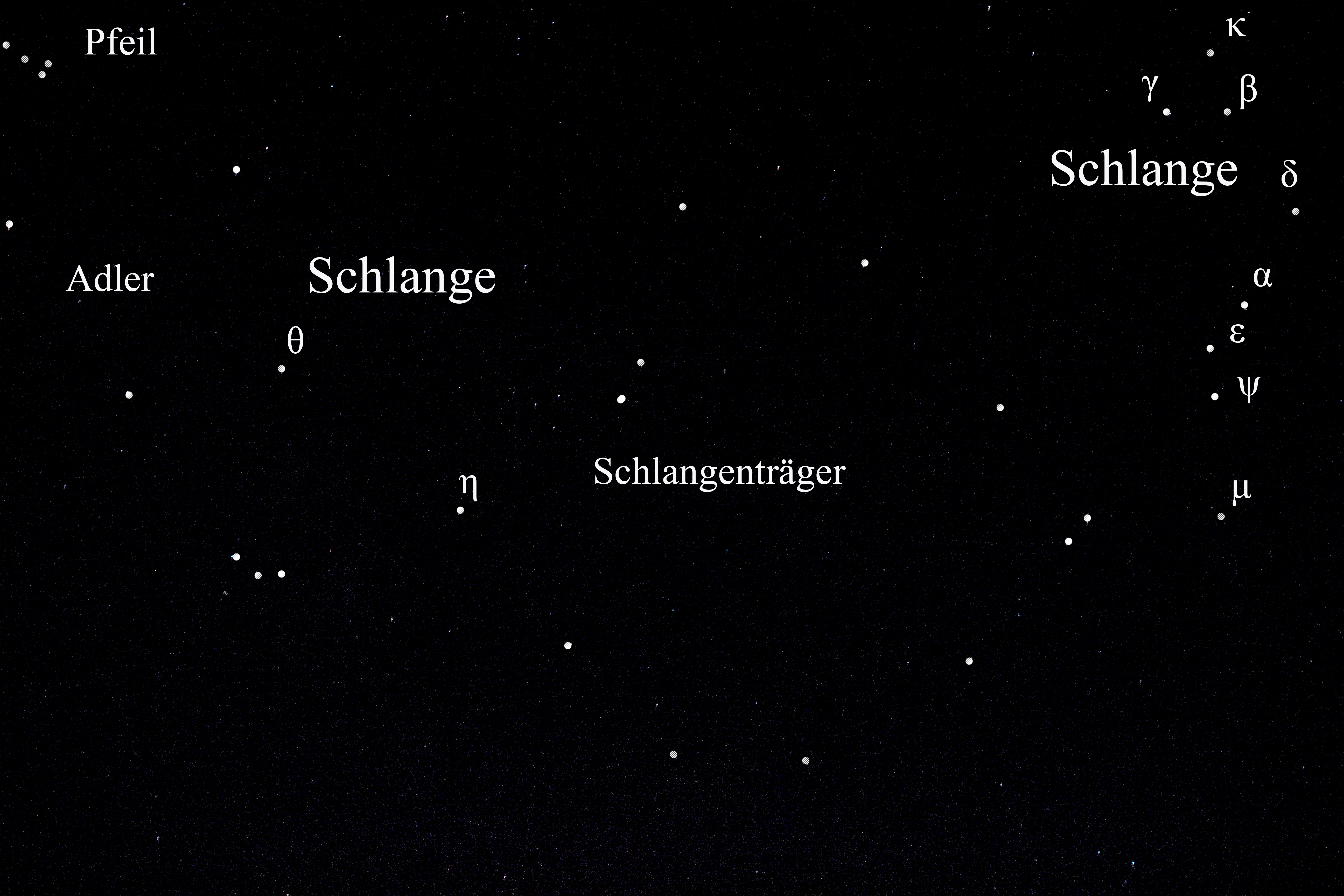 Schlange
